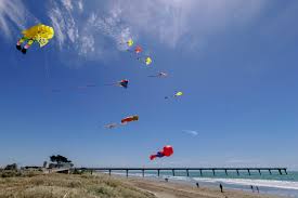 Image result for Brighton Kite Fliers