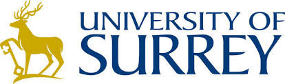 Image result for University Of Surrey