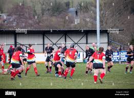 Image result for Camborne Rugby Football Club