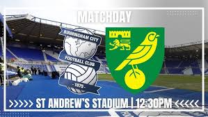 Image result for St Andrews Football Club (Norwich)