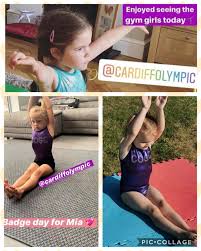 Image result for Cardiff Olympic Gymnastics Club
