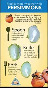 Attēlu rezultāti vaicājumam “Lathyrus sylvestris fruit”