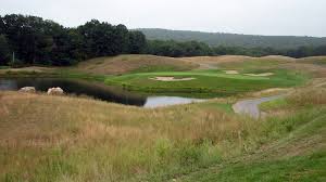 Image result for Fox Gc