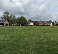 Image result for Capel Cricket Club
