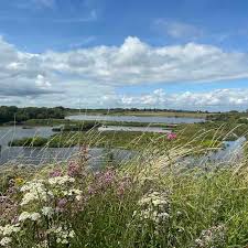 Image result for Tring Park Cricket Club