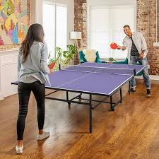 Image result for Table Tennis