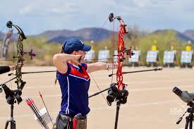 Image result for Blue Arrows Archery Club