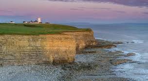 Image result for Llantwit Lions