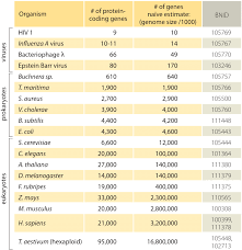 Image result for genome sizes