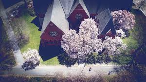 Image result for William Shrewsbury School Table Tennis Club