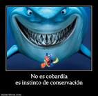 Desmotivaciones No es cobardía es instinto de conservación