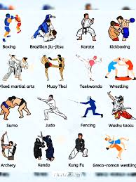 Image result for Kyokushin Karate