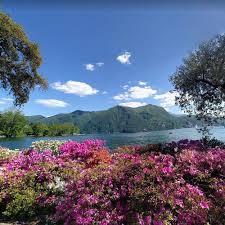 Image result for "Parco Ciani"