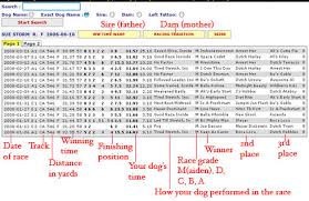 Image result for Reading Greyhound Track