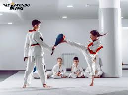 Image result for Tkd Self Defense