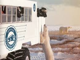 Image result for tundra buggy