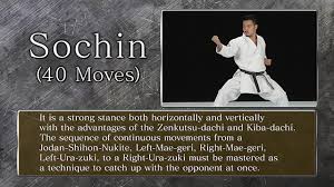 Image result for Reading Karate-Do Shotokai