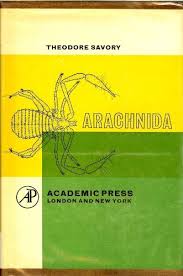 Attēlu rezultāti vaicājumam “Arachnida”