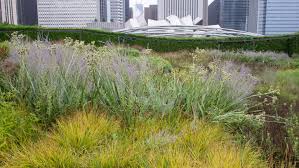 Image result for Piet Oudolf