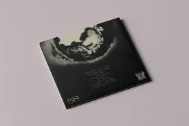 Image result for paranoid critical method"