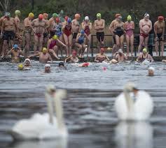 Image result for Serpentine Swimming Club