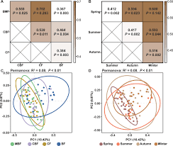 Attēlu rezultāti vaicājumam “Lamproderma pseudomaculatum stalked”