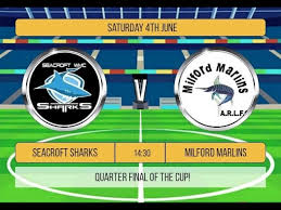 Image result for Milford Marlins Rugby League Football Club
