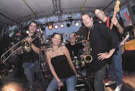 Attēlu rezultāti vaicājumam “Bryum funkii”