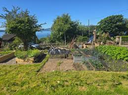 Image result for Cove and Kilcreggan Bowling Club