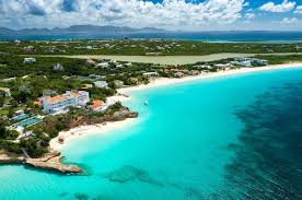 Image result for Anguilla anguilla