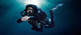 Image result for Exe To Sea Diving