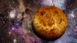 Image result for venus