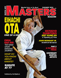 Image result for Masters of Martial Arts