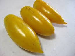 Afbeeldingsresultaat voor banana legs tomato