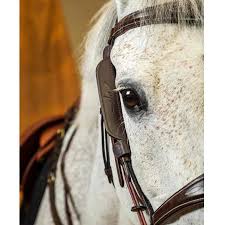 Image result for scheuklappen