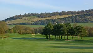 Image result for Betchworth Park Golf Club