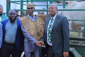 Image result for pheega