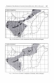 Attēlu rezultāti vaicājumam “Aethes margaritana”