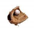 Baseball Equipment