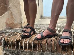 Image result for www.teva.es