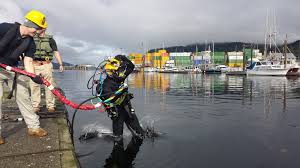 Image result for Breakwater Divers