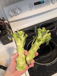 Image result for Skelmersdale Rambling Club