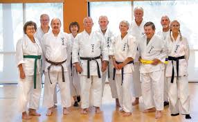 Image result for Shitokai Karate Club