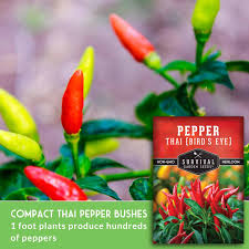 Afbeeldingsresultaat voor thai bird pepper hot pepper
