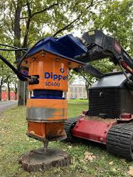 Image result for dipperfox tehron