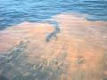 Salinity