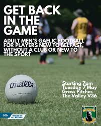 Image result for Wolfe Tones Gaelic Athletic Club