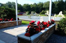 Image result for Scottish Equi Complex