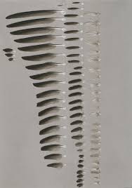 Attēlu rezultāti vaicājumam “Delichon urbicum adult”