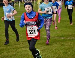 Image result for Billingham Marsh House Harriers